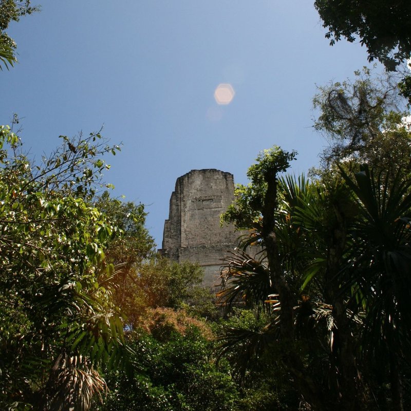 The Legendary Mayan City of Tikal